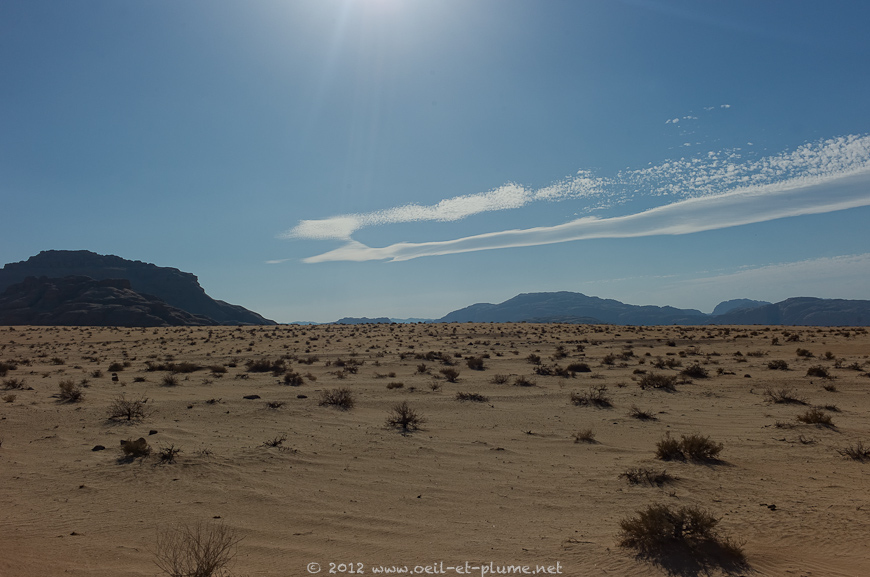 24 Salem Wadi Rum