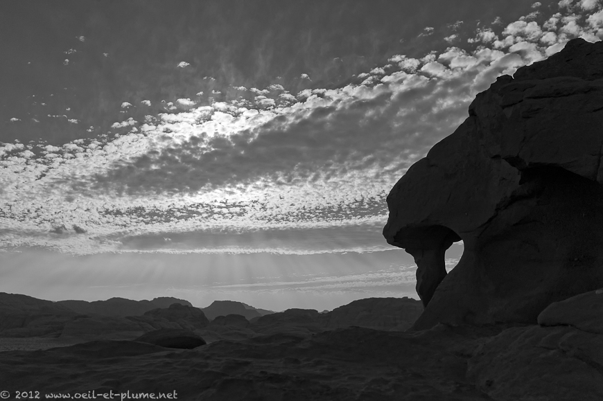 25 Salem Wadi Rum