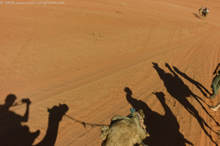 28 Salem Wadi Rum