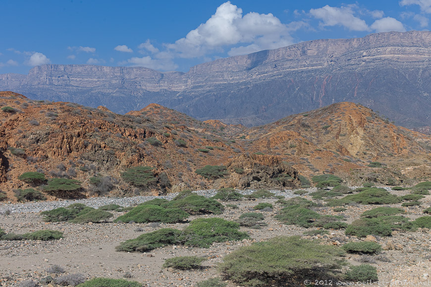04 Dhofar