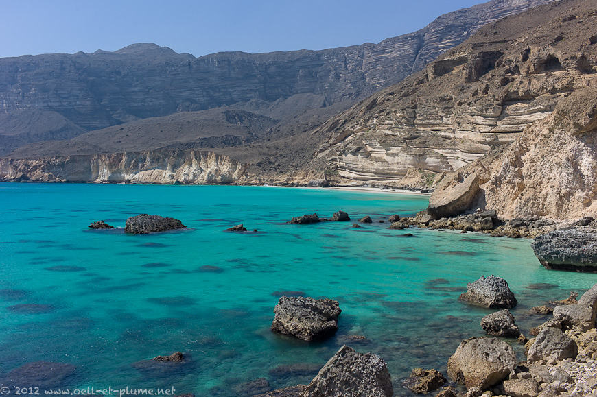 18 Dhofar