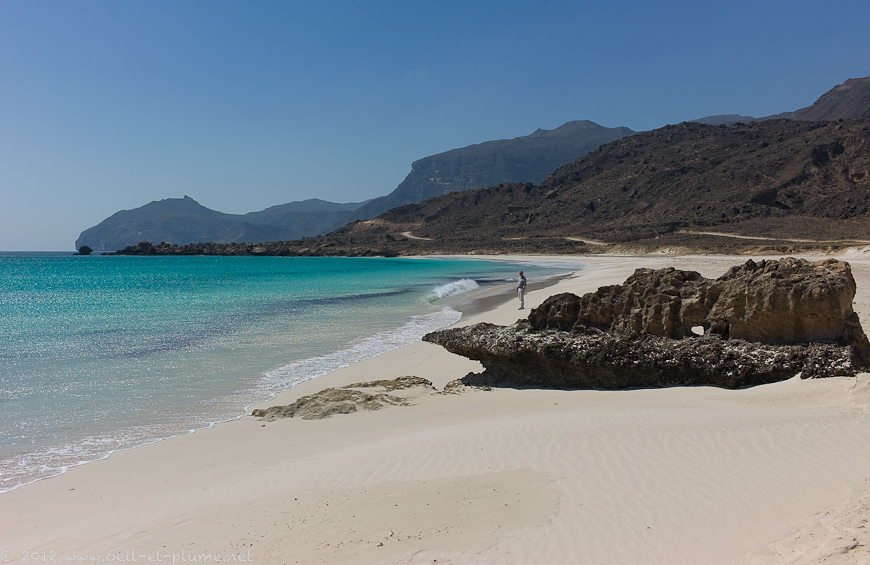 19 Dhofar