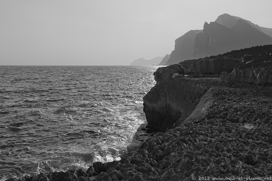 22 Dhofar