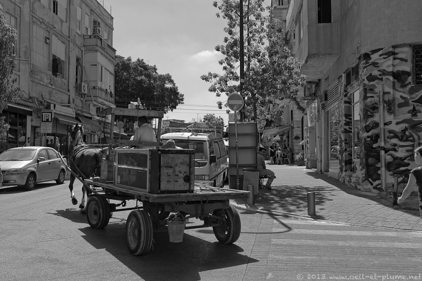 09 Tel Aviv Gay Pride