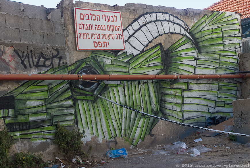 15 Tel Aviv Street Art