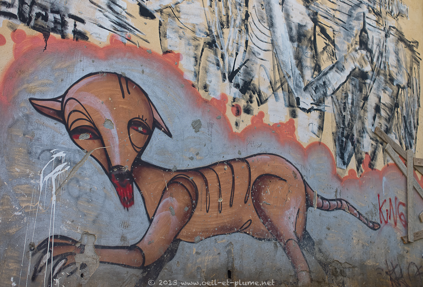 16 Tel Aviv Street Art
