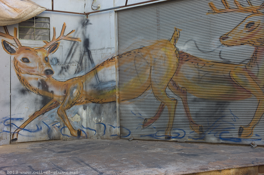 22 Tel Aviv Street Art