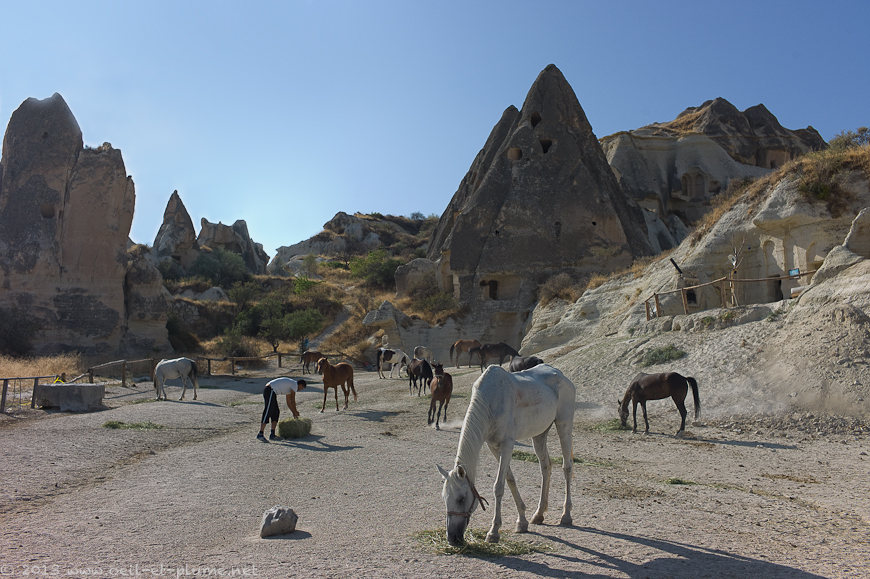 01 Anatolian mix 2013