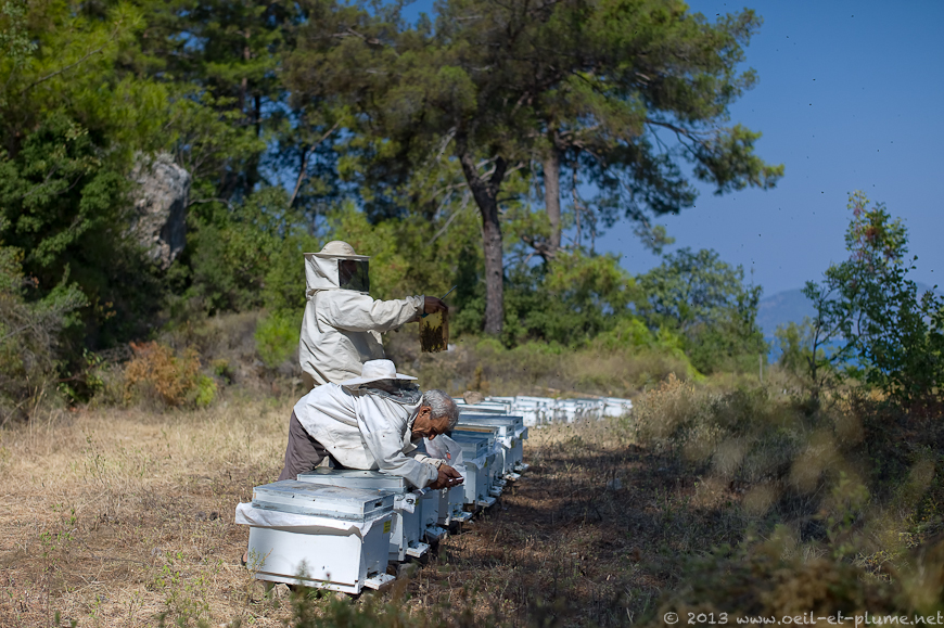 05 Lycian way 2013