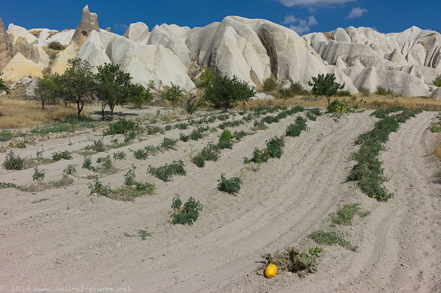 11 Cappadoce 2013