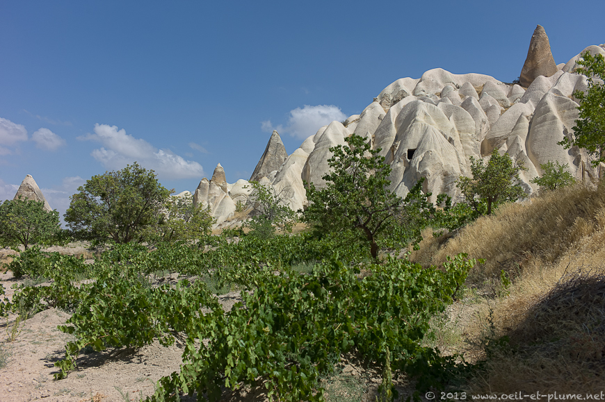 12 Cappadoce 2013