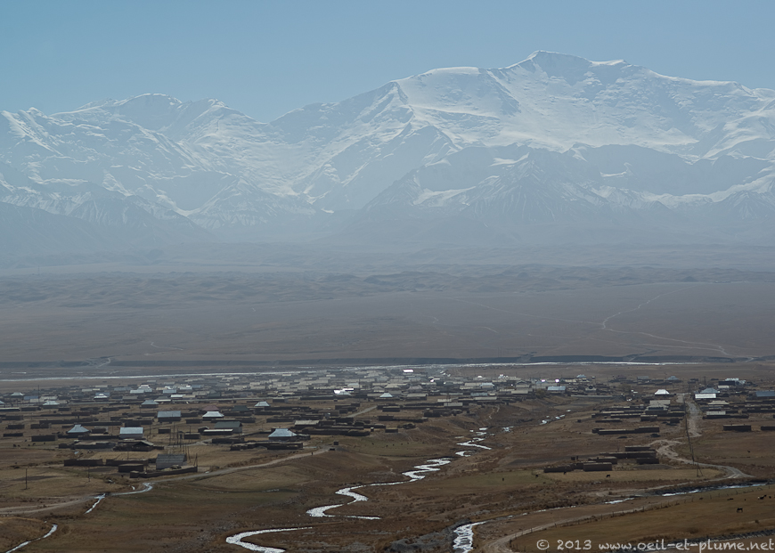 01 Sari Moghul 2013