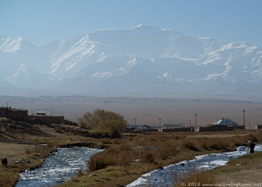 02 Sari Moghul 2013