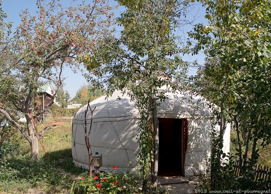 03 Tumara 2013