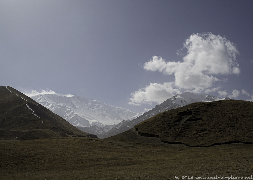 07 Sari Moghul 2013