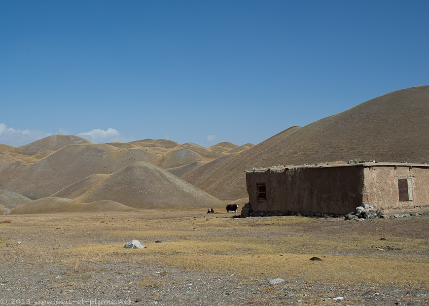 11 Sari Moghul 2013