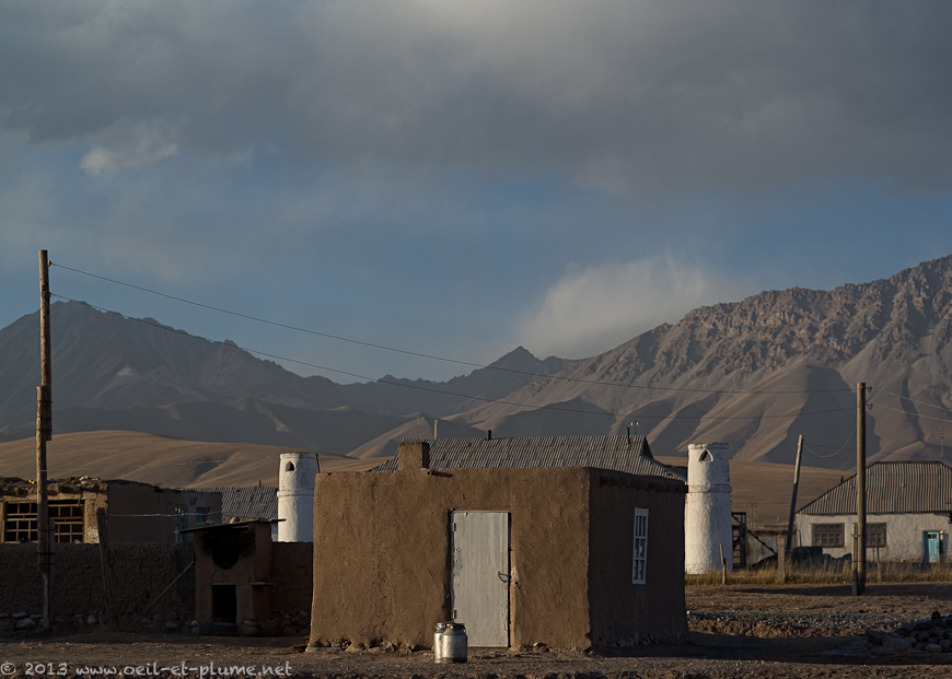 14 Sari Moghul 2013