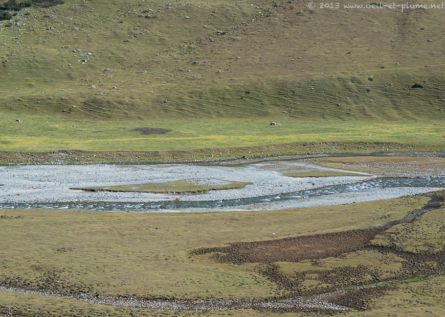 16 Issyk-Kol 2013