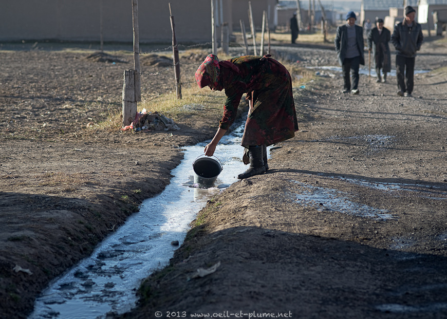 16 Sari Moghul 2013