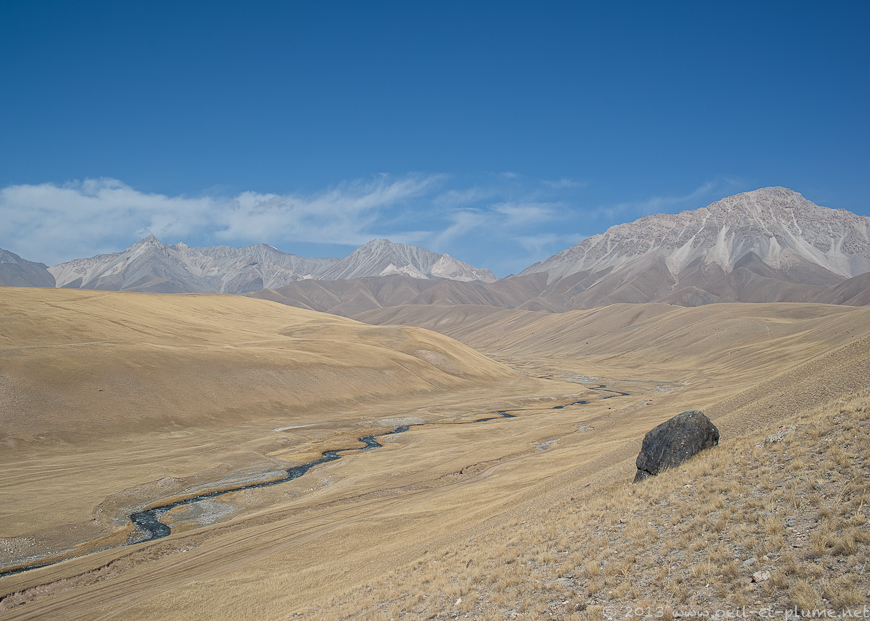 28 Sari Moghul 2013