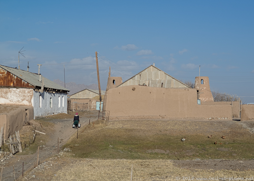 31 Sari Moghul 2013