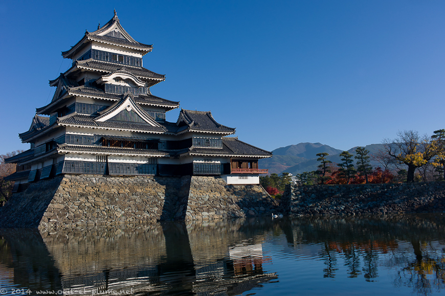 Matsumoto 2013
