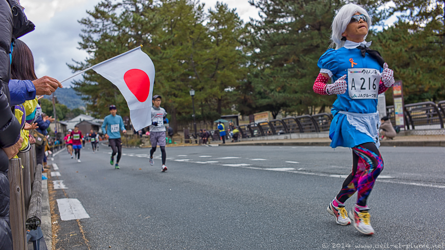 Nara 2013