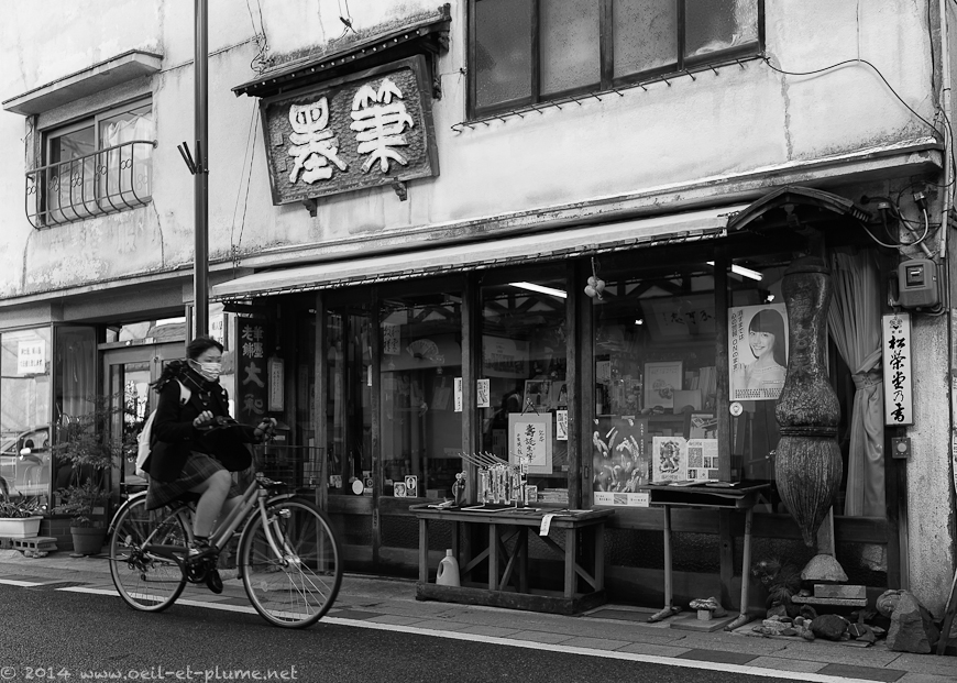Matsumoto 2013
