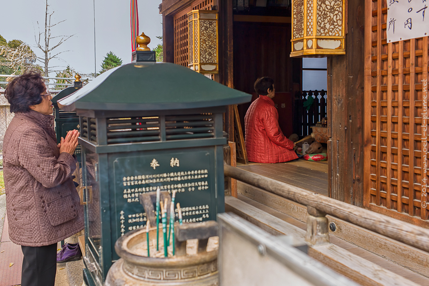 Nara 2013