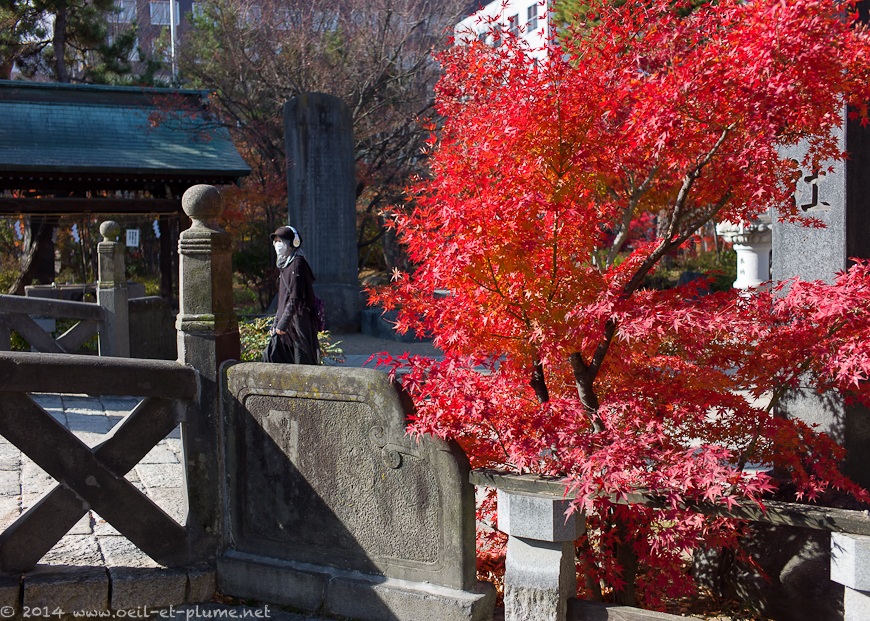 Matsumoto 2013