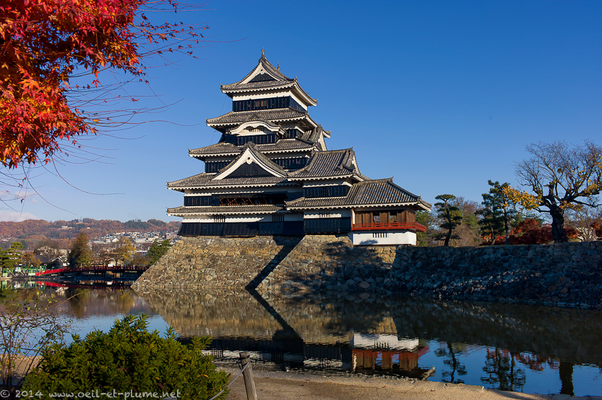 Matsumoto 2013