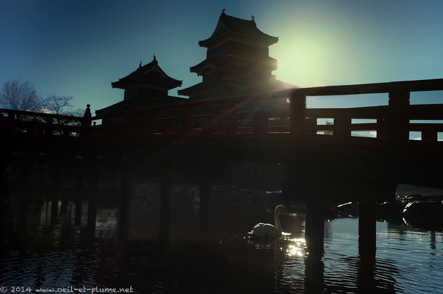Matsumoto 2013