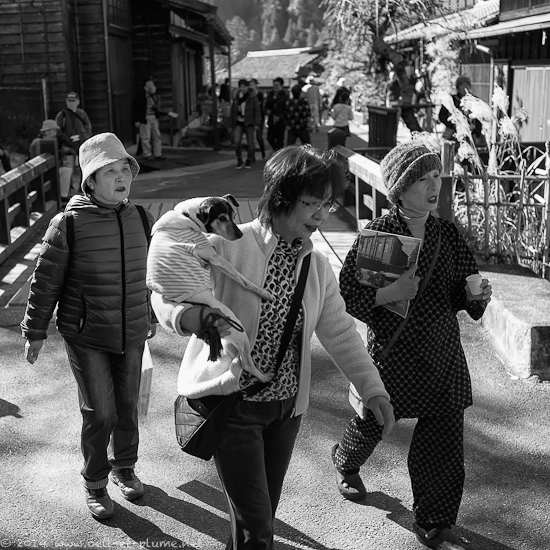 Nakasendo 2014