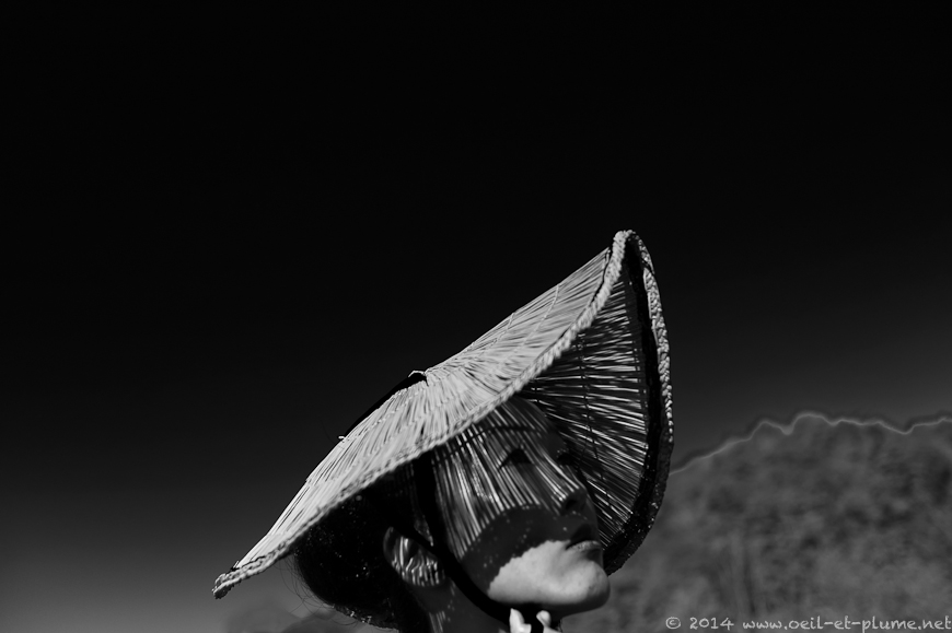 Nakasendo 2014