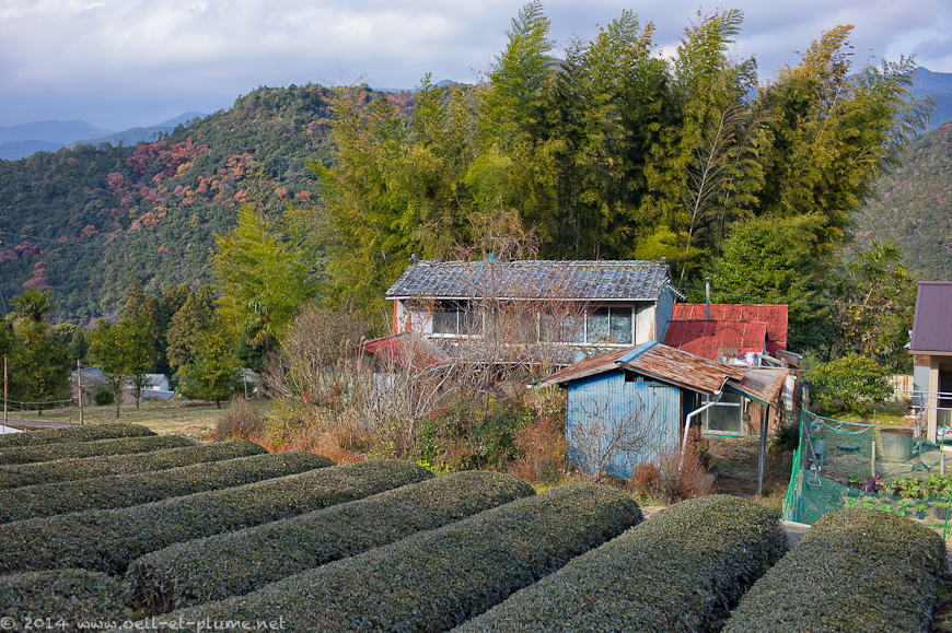 Kumano Kodo 2013