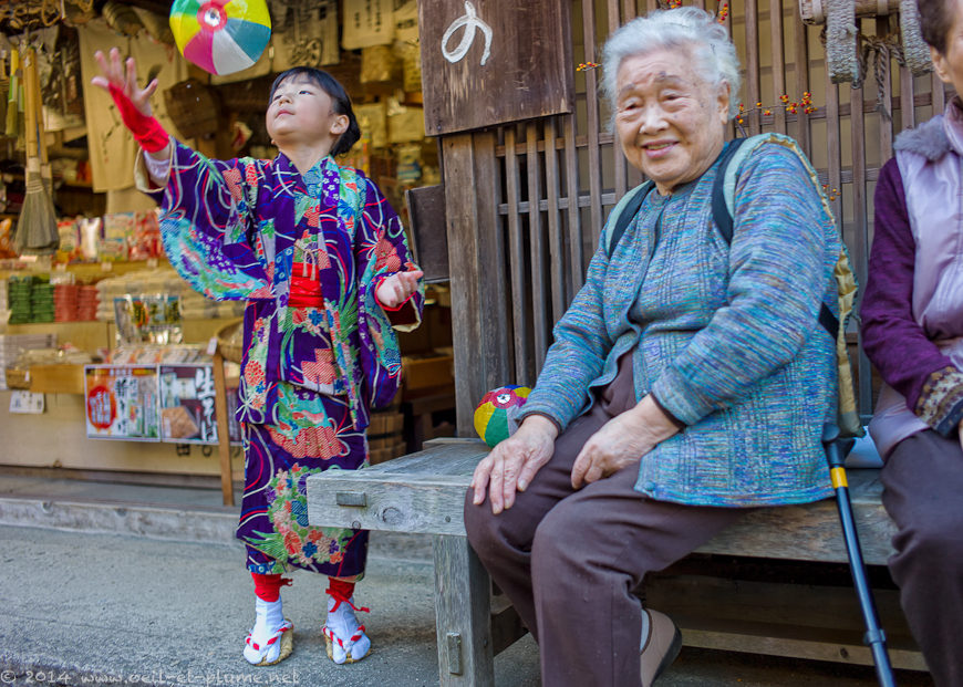 Nakasendo 2014