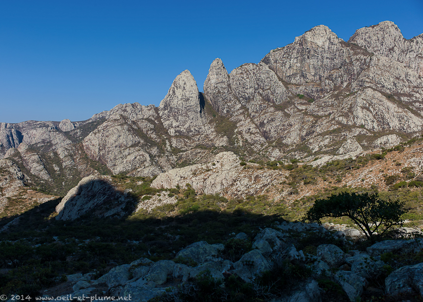 Socotra 2014