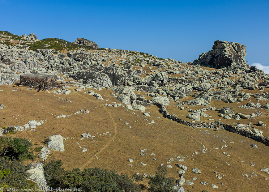 Socotra 2015