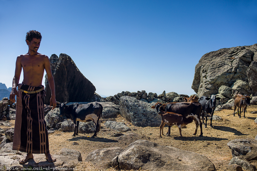 Socotra 2014