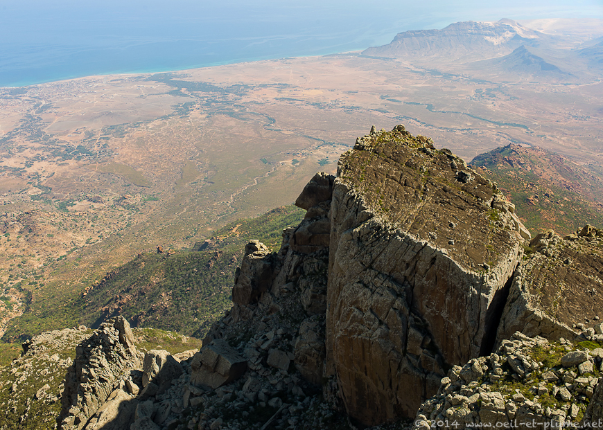 Socotra 2014
