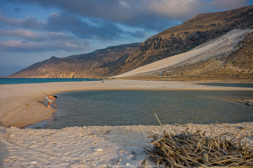 Socotra 2014