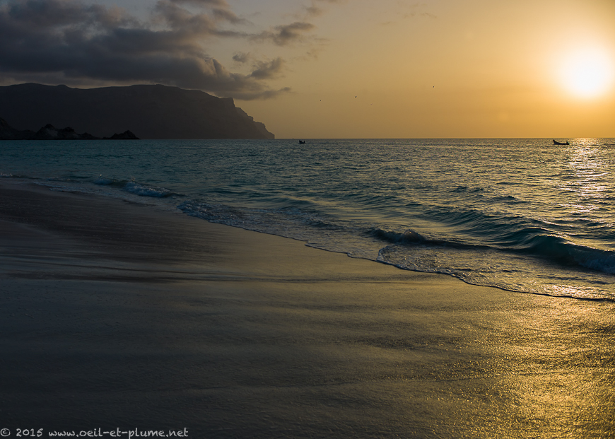 Socotra 2015