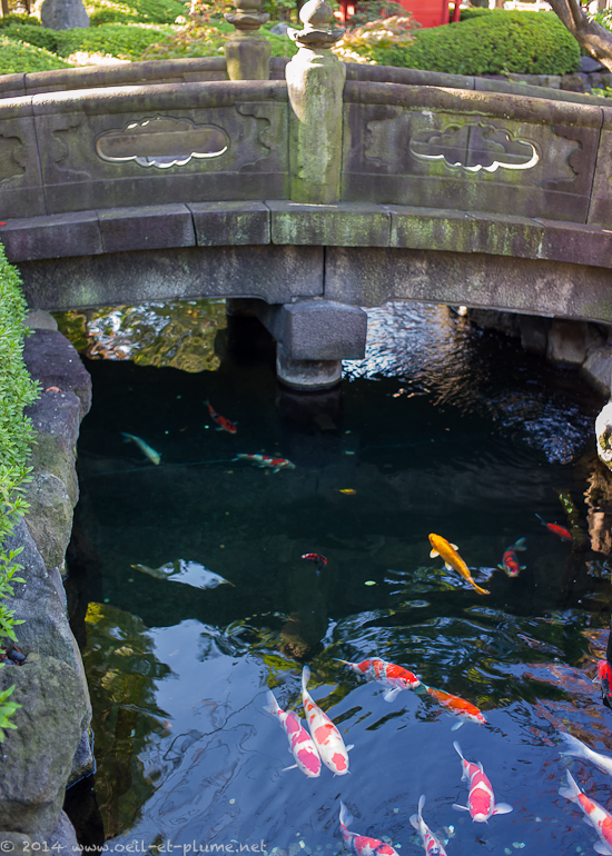 Traditional Tokyo 2013