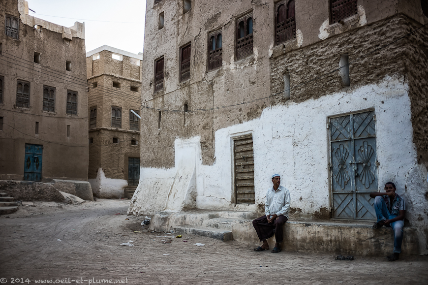 Wadi Hadramout 2014