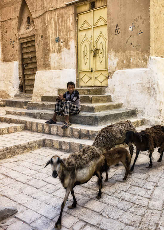 Wadi Hadramout 2014