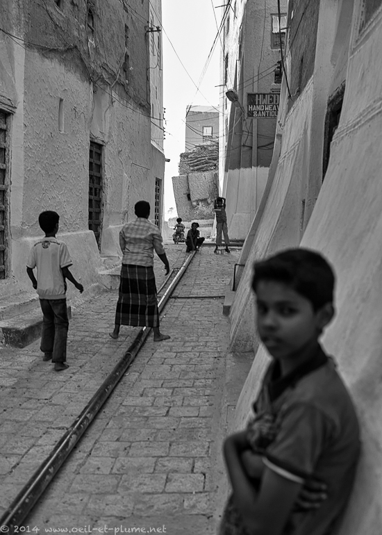 Wadi Hadramout 2014