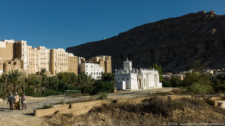 Wadi Hadramout 2014