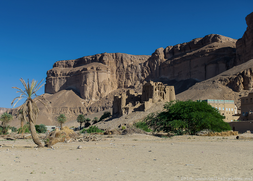 Wadi Hadramout 2014