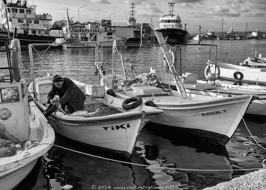 Sinop 2014