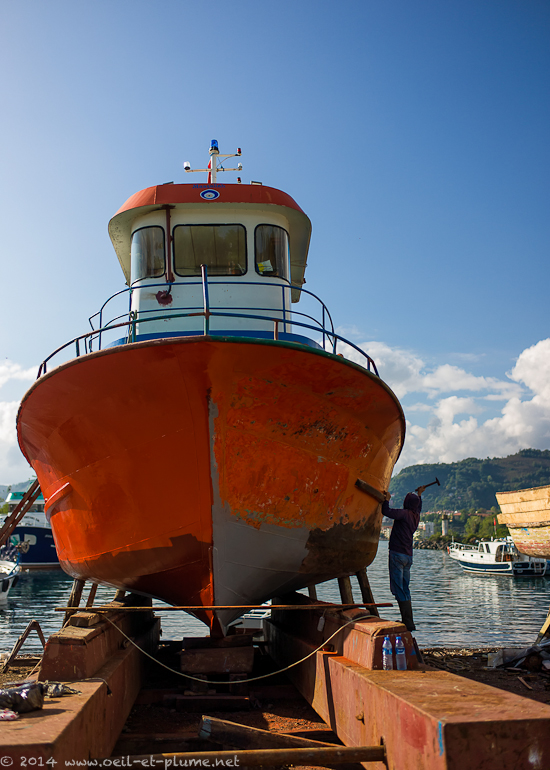 Vona Peninsula 2014